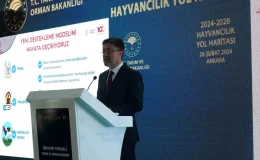 Tarım ve Orman Bakanı İbrahim Yumaklı, 2024-2028 Hayvancılık Yol Haritasını Paylaştı