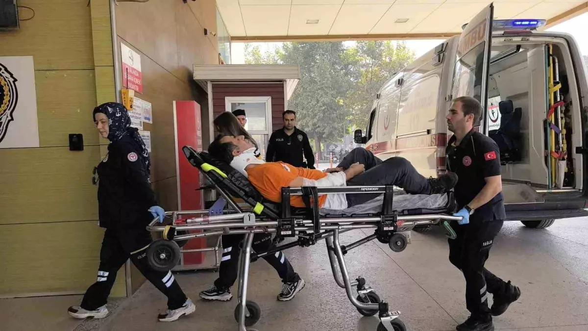 Ceviz Ağaçlarından Düşen İki Yaralı