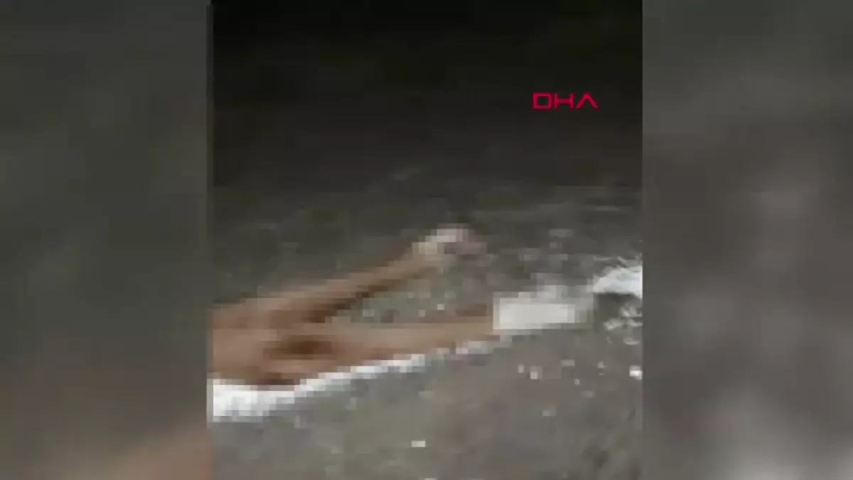 Elazığ’da İneğe Çarpan Otomobilde 3 Yaralı